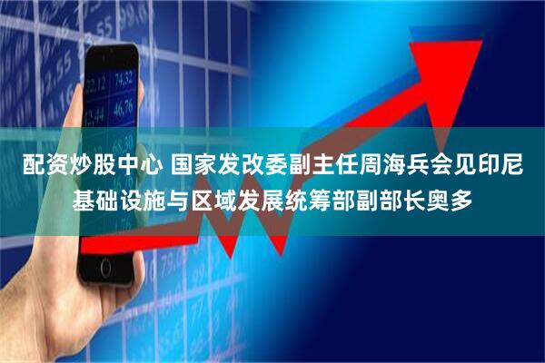 配资炒股中心 国家发改委副主任周海兵会见印尼基础设施与区域发展统筹部副部长奥多